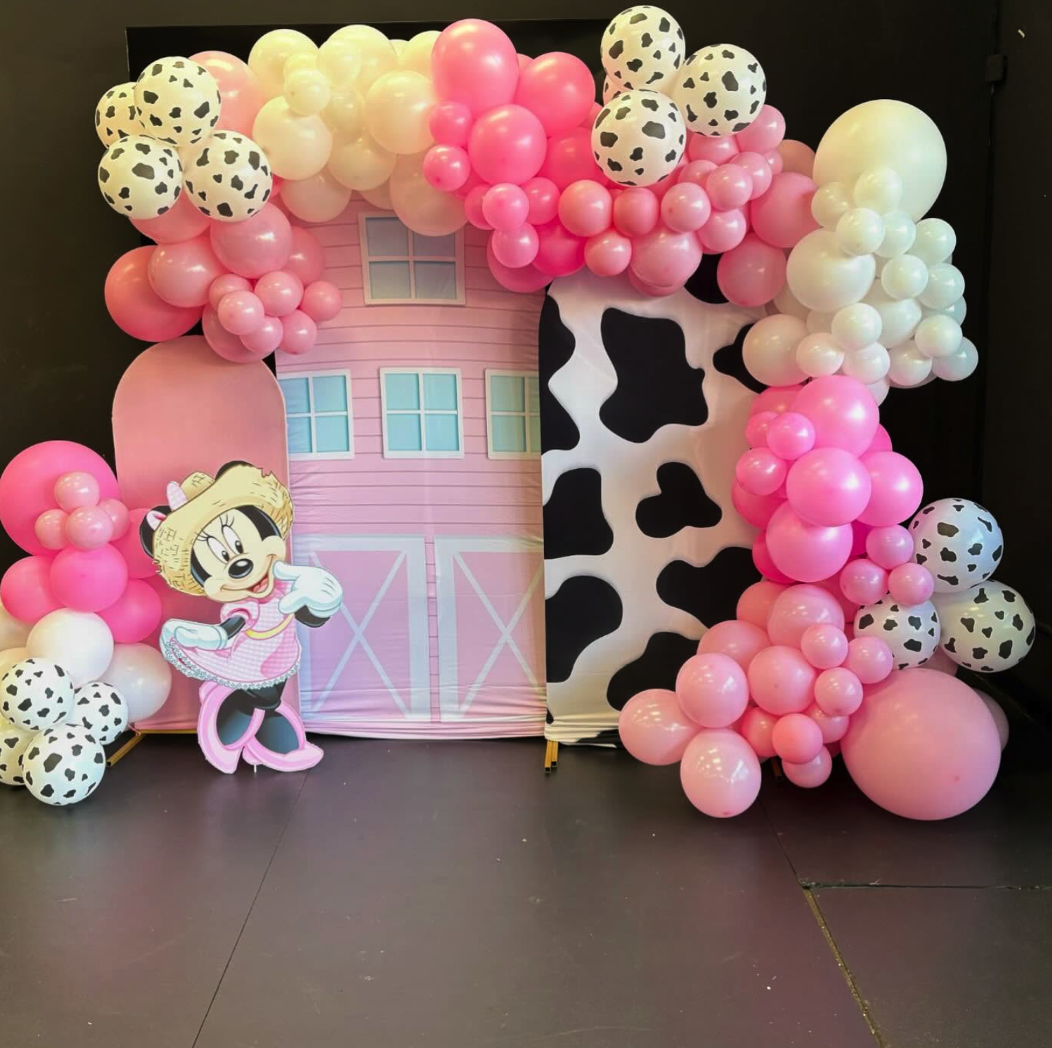 Character theme display